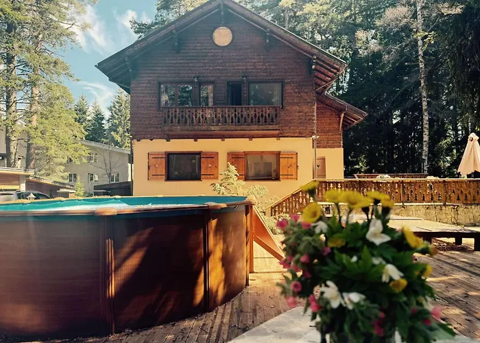 Mountain Villa Borovets