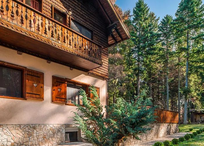 Mountain Villa Borovets